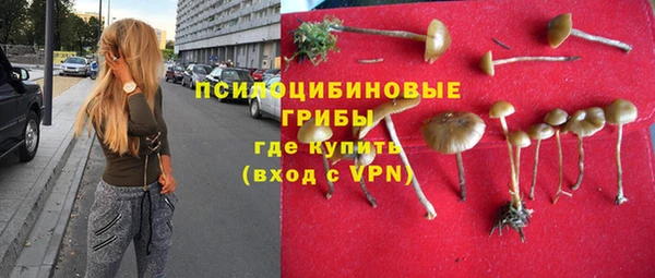 тгк Володарск