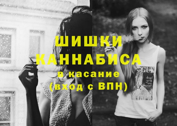тгк Володарск