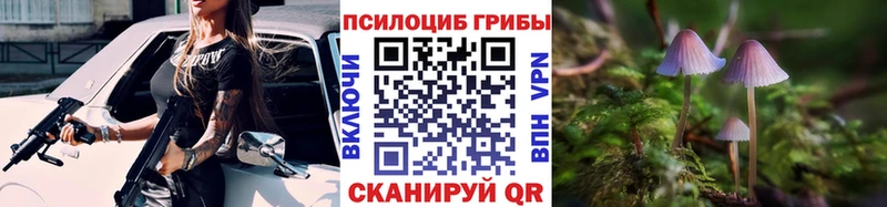 Псилоцибиновые грибы Psilocybe  где продают наркотики  Назарово 